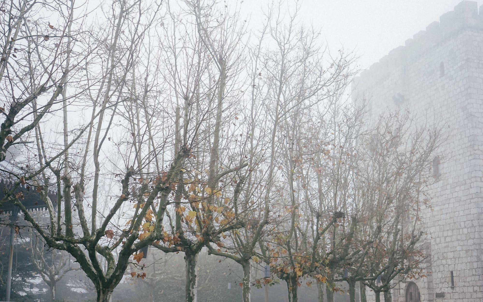 Landa 호텔 Burgo 외부 사진 Trees in winter