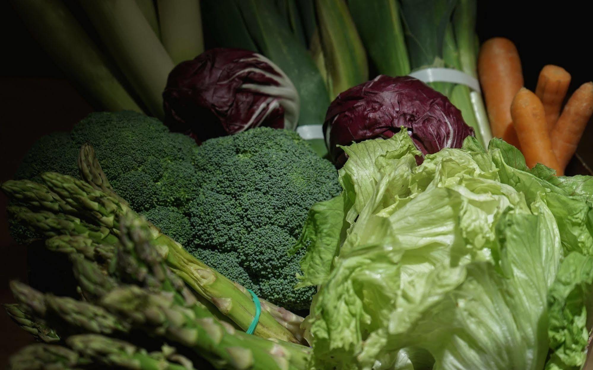 Landa 호텔 Burgo 외부 사진 Vegetables